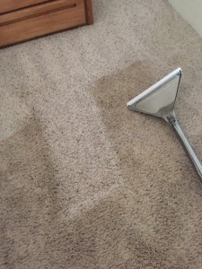 cyclone-carpet-cleaning2-225x300